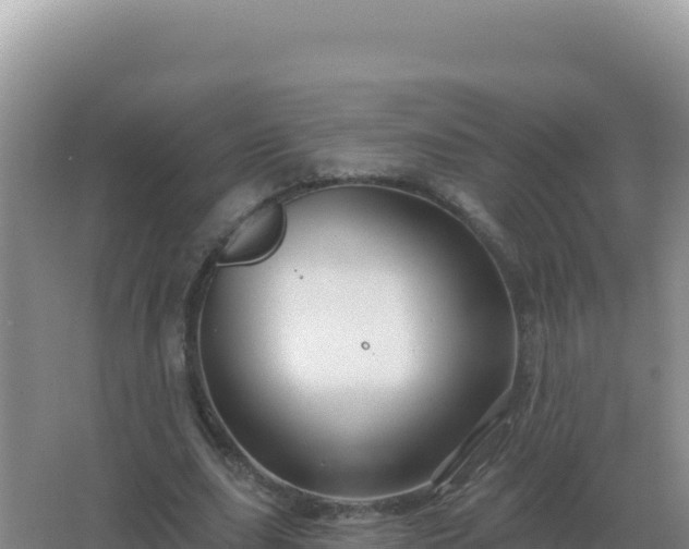 X0000067510631200604150134