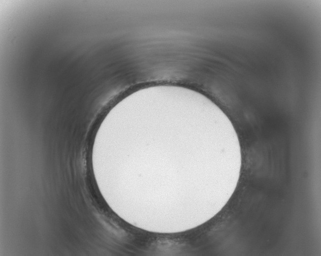 X0000067510632200604150134