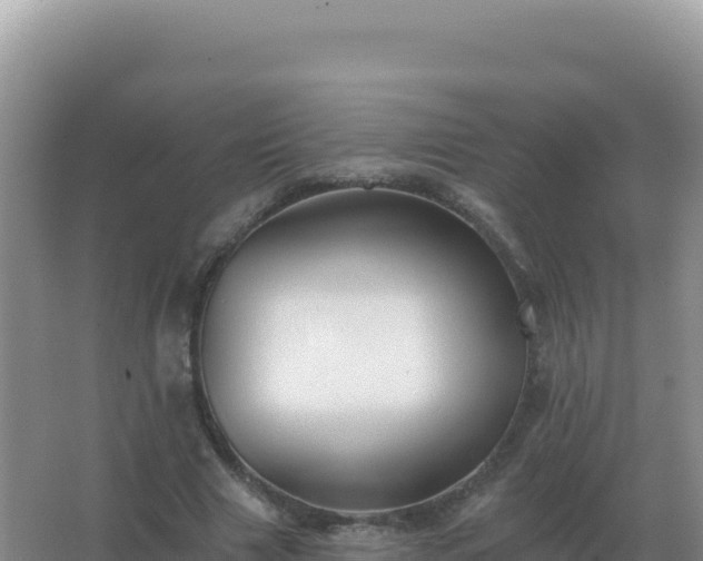 X0000067510633200604150134