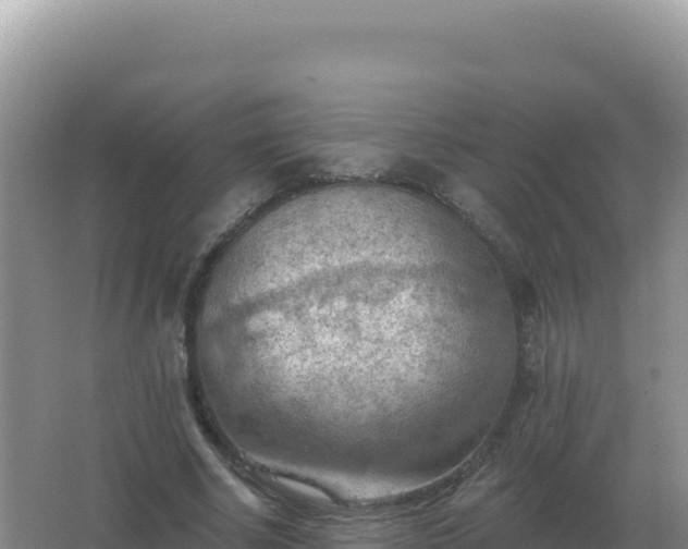 X0000067510634200604150134