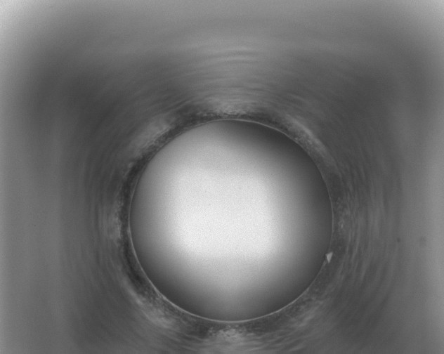 X0000067510635200604150134