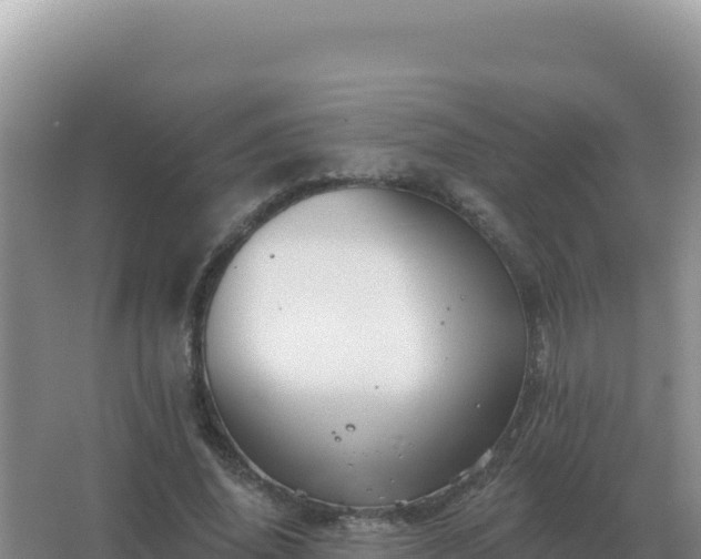 X0000067510636200604150134