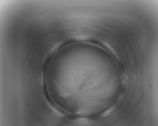 X0000067510637200604150134