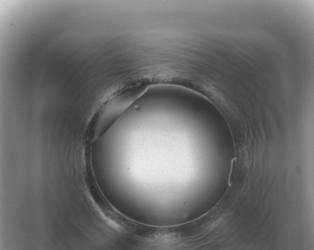 X0000067510638200604150134