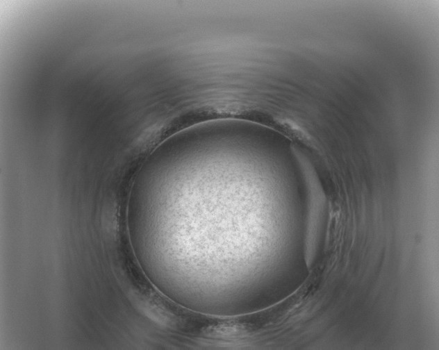 X0000067510639200604150134