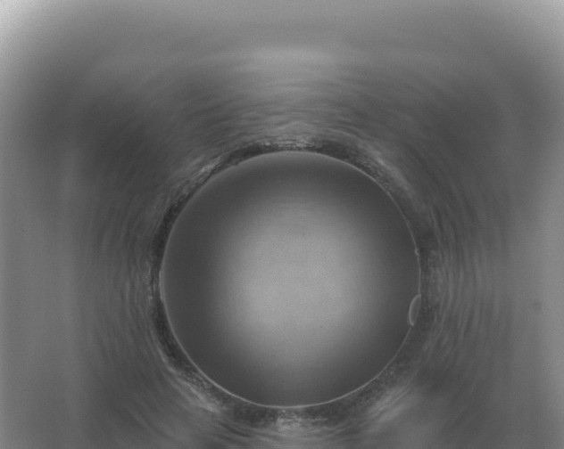 X0000067510641200604150134