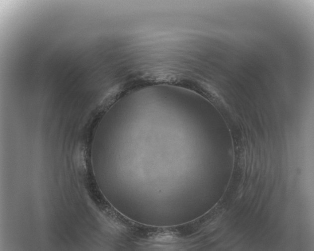 X0000067510643200604150134