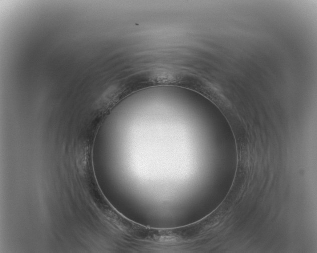 X0000067510645200604150134