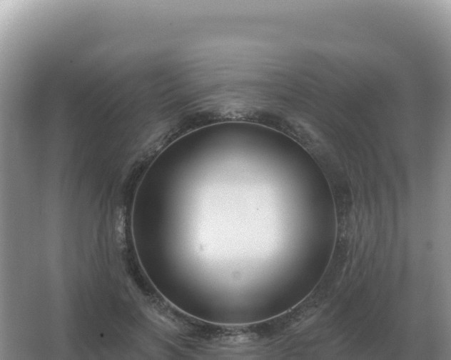 X0000067510646200604150134