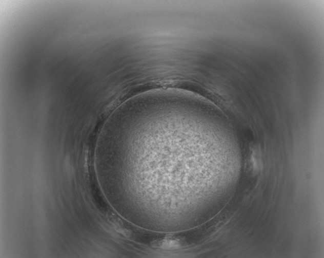 X0000067510647200604150134