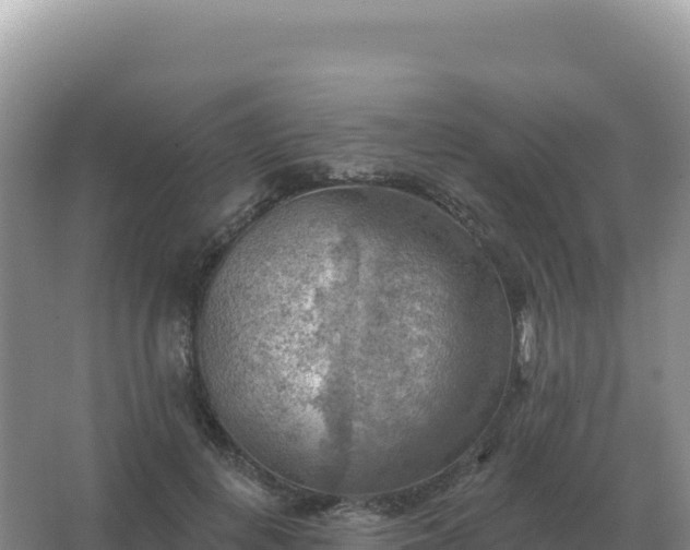 X0000067510648200604150134