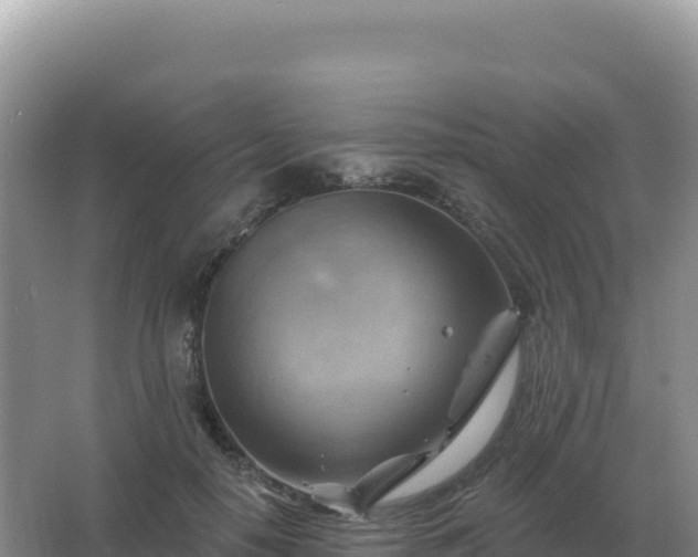 X0000067510650200604150134