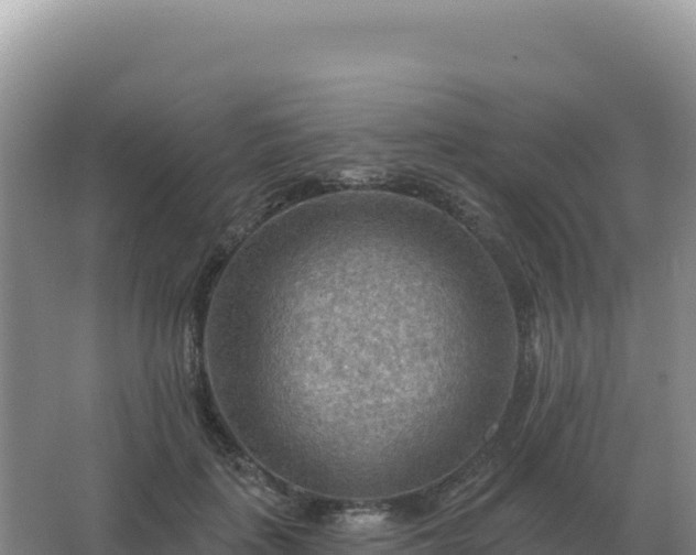 X0000067510651200604150134