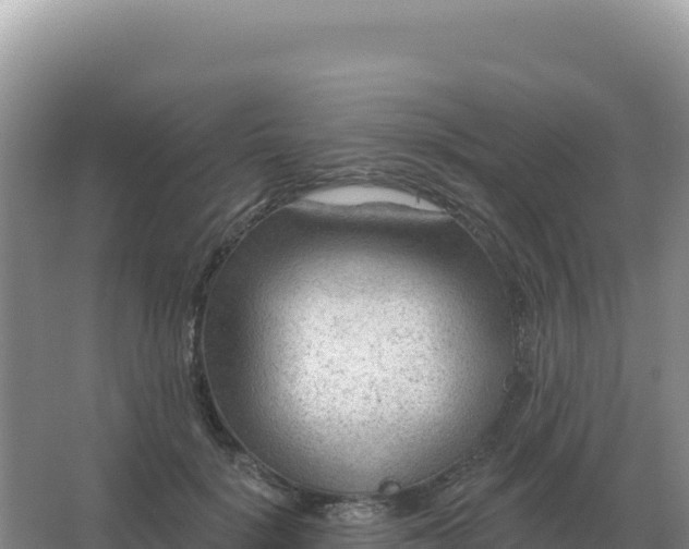 X0000067510652200604150134