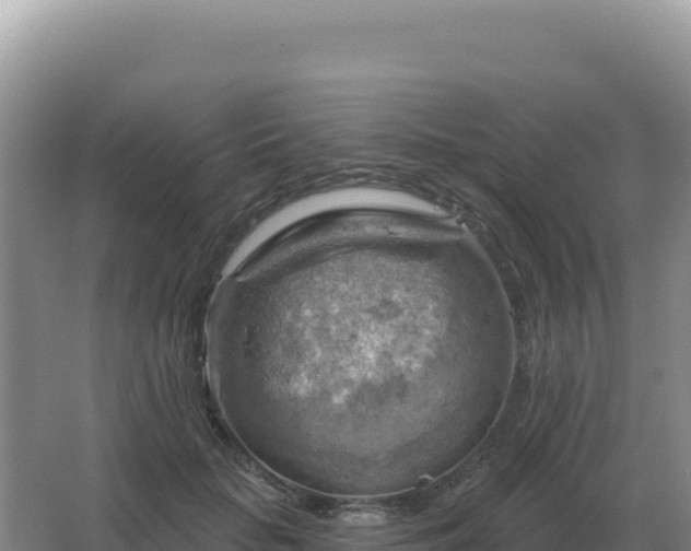 X0000067510653200604150134