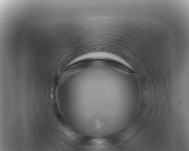 X0000067510654200604150134