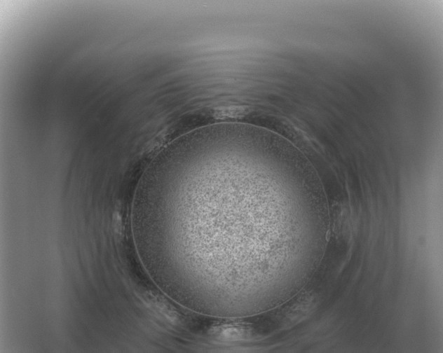 X0000067510655200604150134