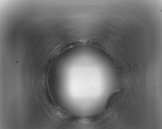 X0000067510656200604150134