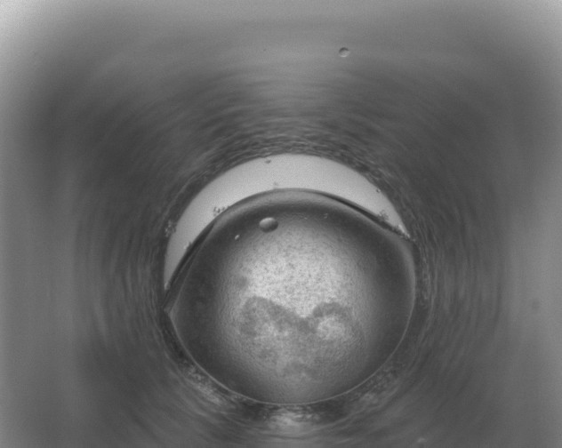 X0000067510657200604150135