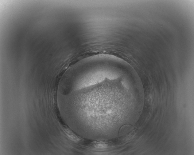 X0000067510658200604150135