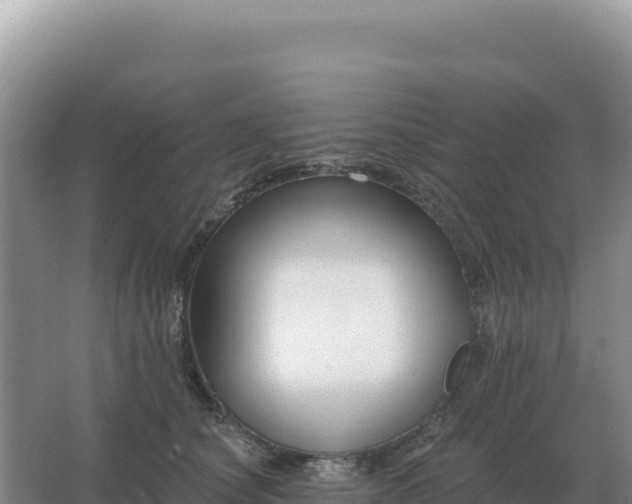 X0000067510660200604150135