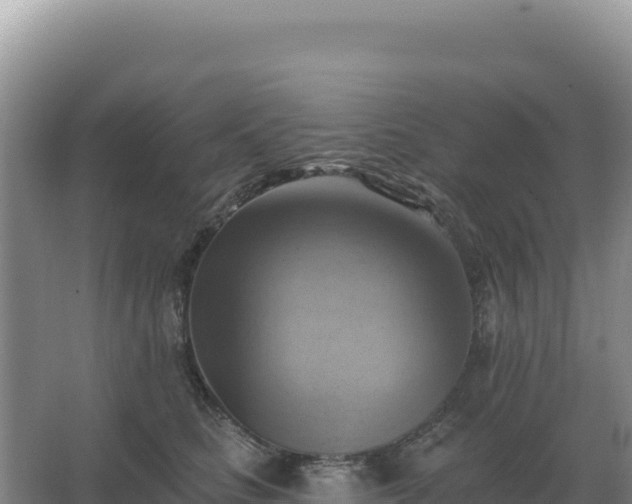 X0000067510661200604150135