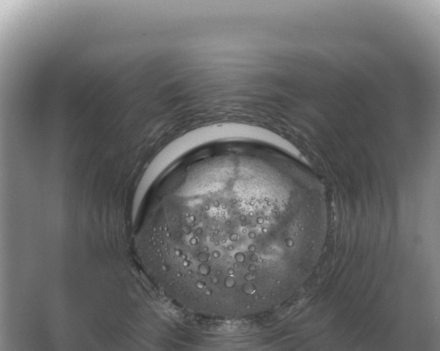 X0000067510663200604150135