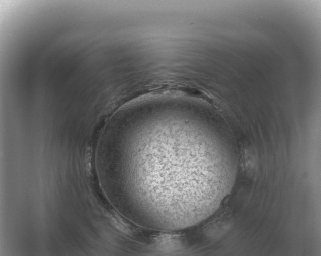 X0000067510664200604150135