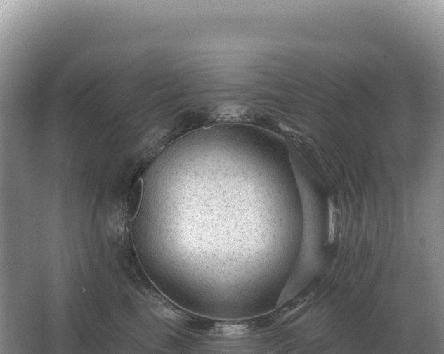 X0000067510665200604150135