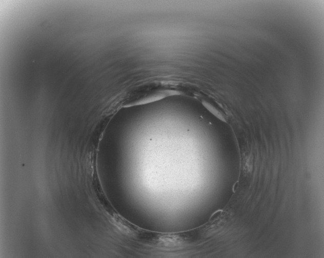 X0000067510666200604150135