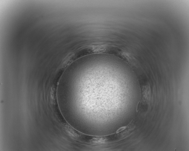 X0000067510667200604150135