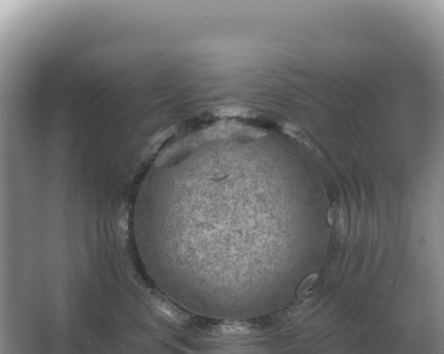 X0000067510668200604150135