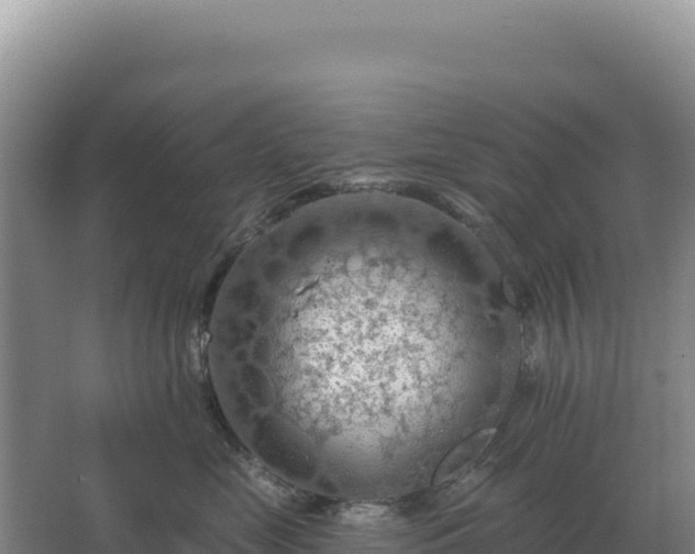 X0000067510669200604150135