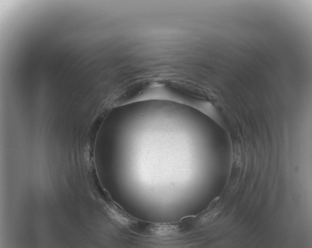 X0000067510670200604150135