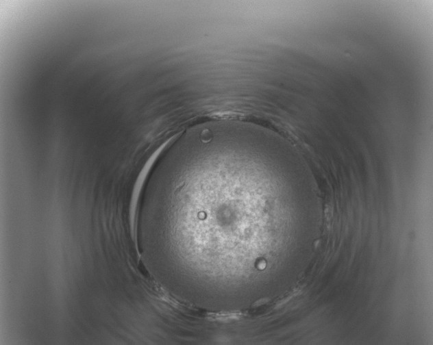 X0000067510671200604150135