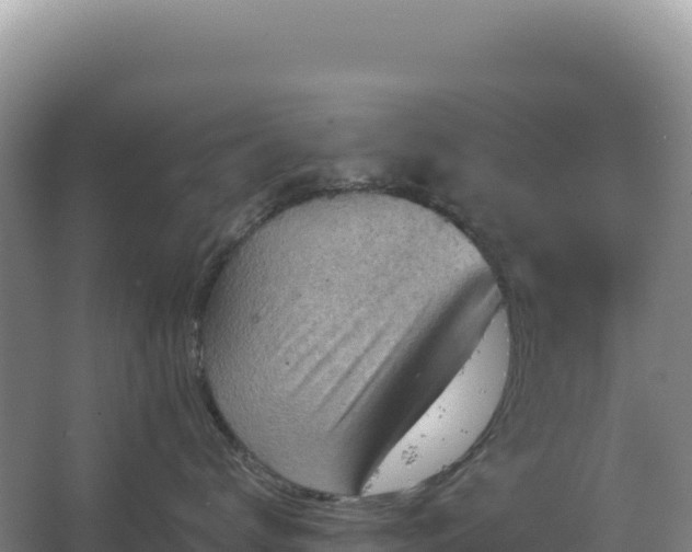 X0000067510672200604150135