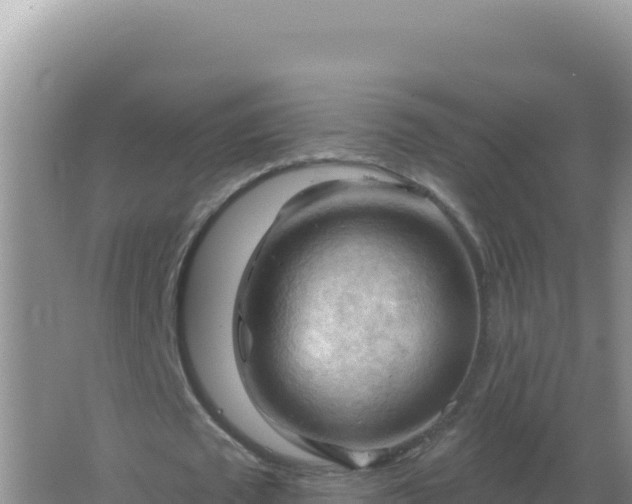 X0000067510673200604150134