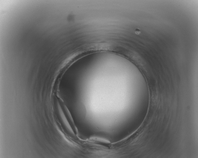 X0000067510674200604150134