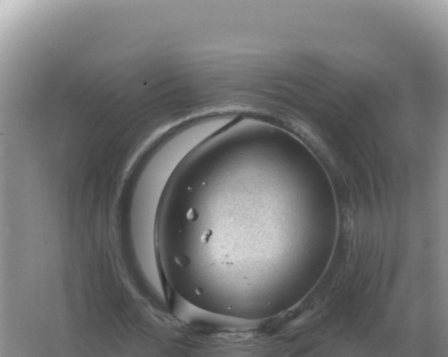 X0000067510676200604150134