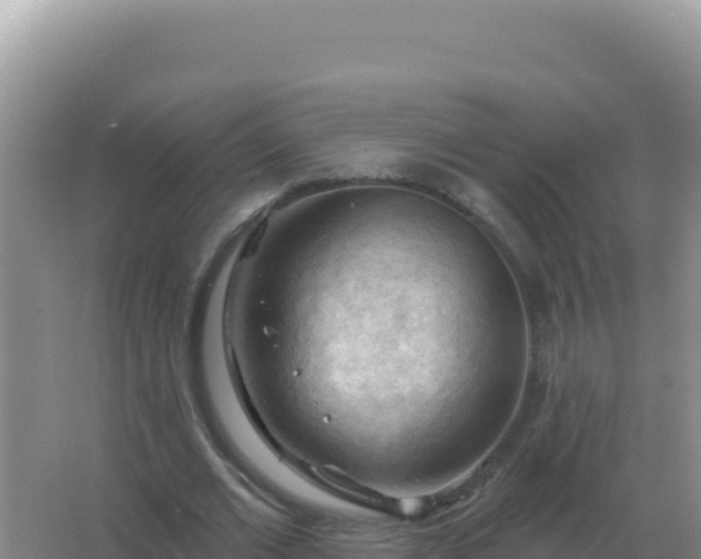 X0000067510677200604150134