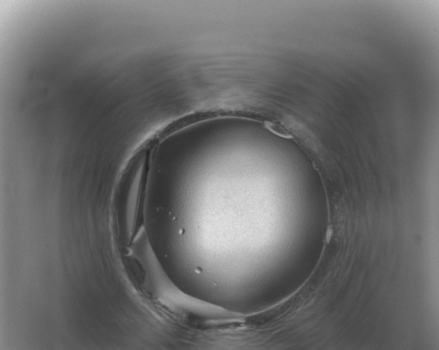 X0000067510680200604150134