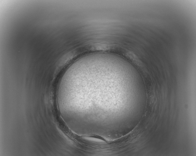 X0000067510683200604150134