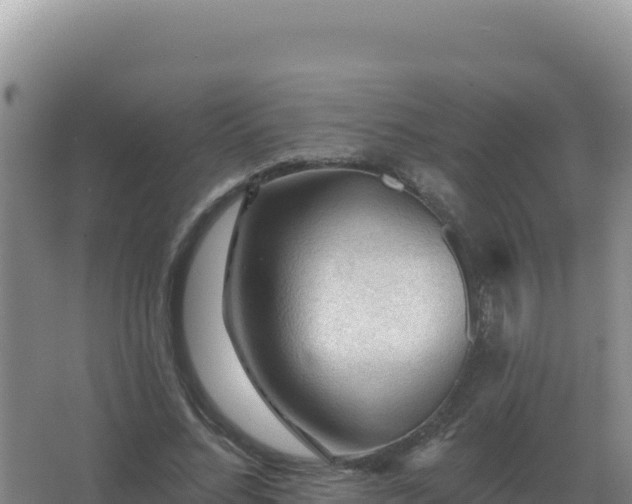 X0000067510684200604150134