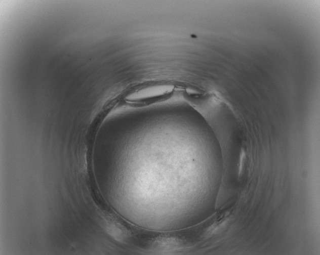 X0000067510685200604150134