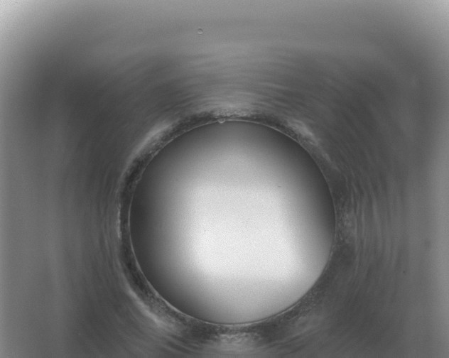 X0000067510686200604150134