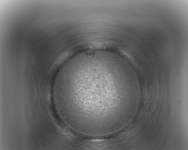 X0000067510687200604150134