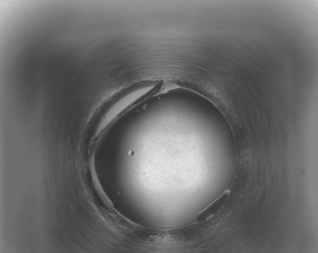 X0000067510688200604150134