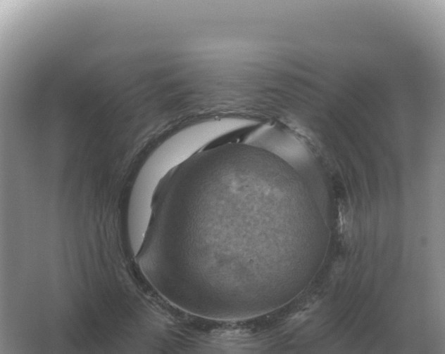 X0000067510689200604150134