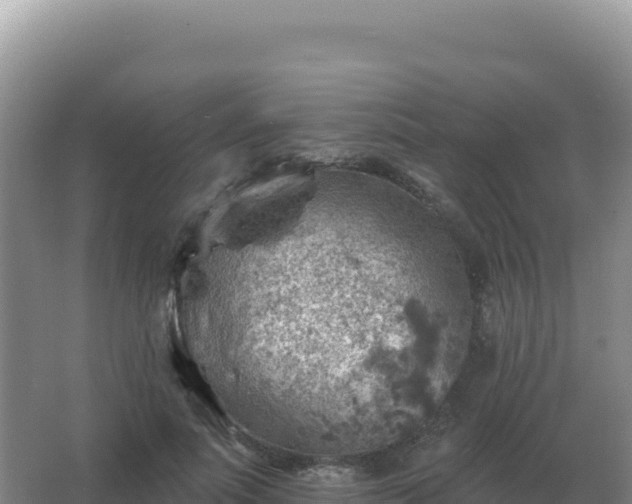 X0000067510691200604150134