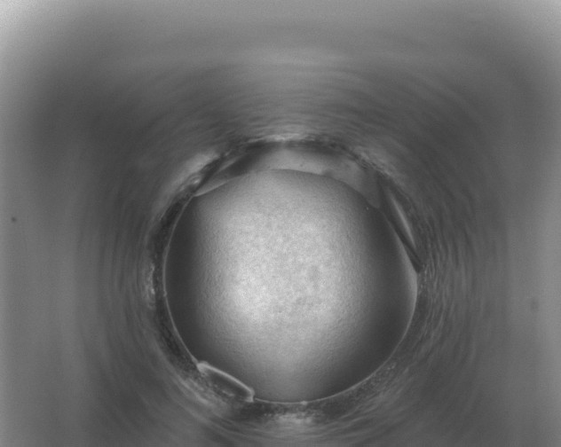 X0000067510692200604150134